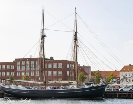 Bonavista i Korsør d. 4. oktober 2023. Foto: Nicolaj D. Jepsen