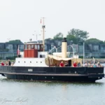 Møn i Stege havn d. 13. juli 2021. Foto: Nicolaj D. Jepsen