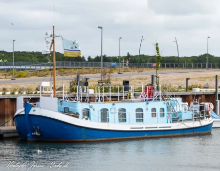 Vadehavet i Esbjerg lystbådehavn d. 10. juli 2022. Foto: Nicolaj D. Jepsen