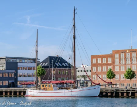 Bona Gratia i morgensolen i Korsør d. 26. maj 2025. Foto: Nicolaj D. Jepsen