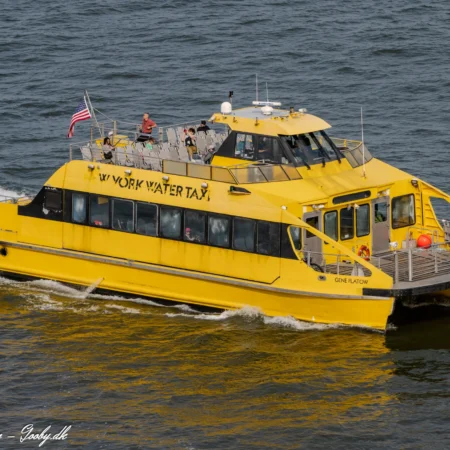 Gene Flatow i New York d. 13. juni 2025. Foto: Nicolaj D. Jepsen