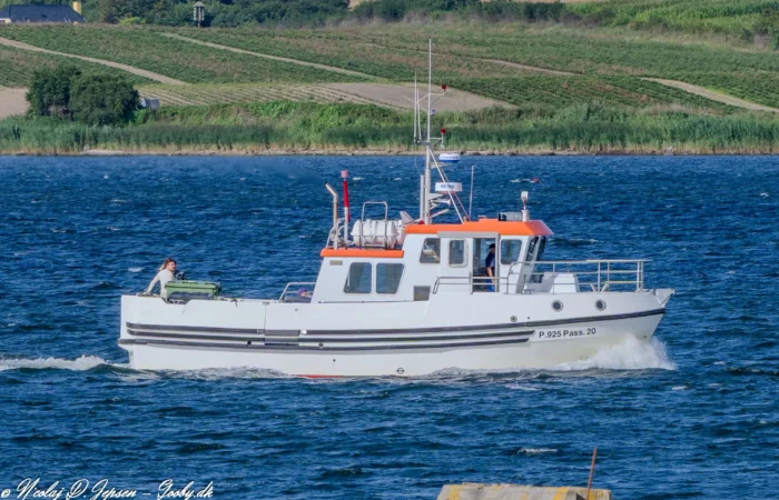 Lillebjørn på vej ind til Faaborg d. 11. august 2024. Foto: Nicolaj D. Jepsen