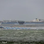 AIDAdiva sydgående i Storebælt d. 6. april 2026. Foto: Nicolaj D. Jepsen