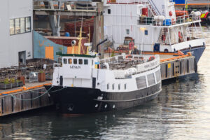 Linan i Oslo d. 17. oktober 2022. Foto: Nicolaj D. Jepsen