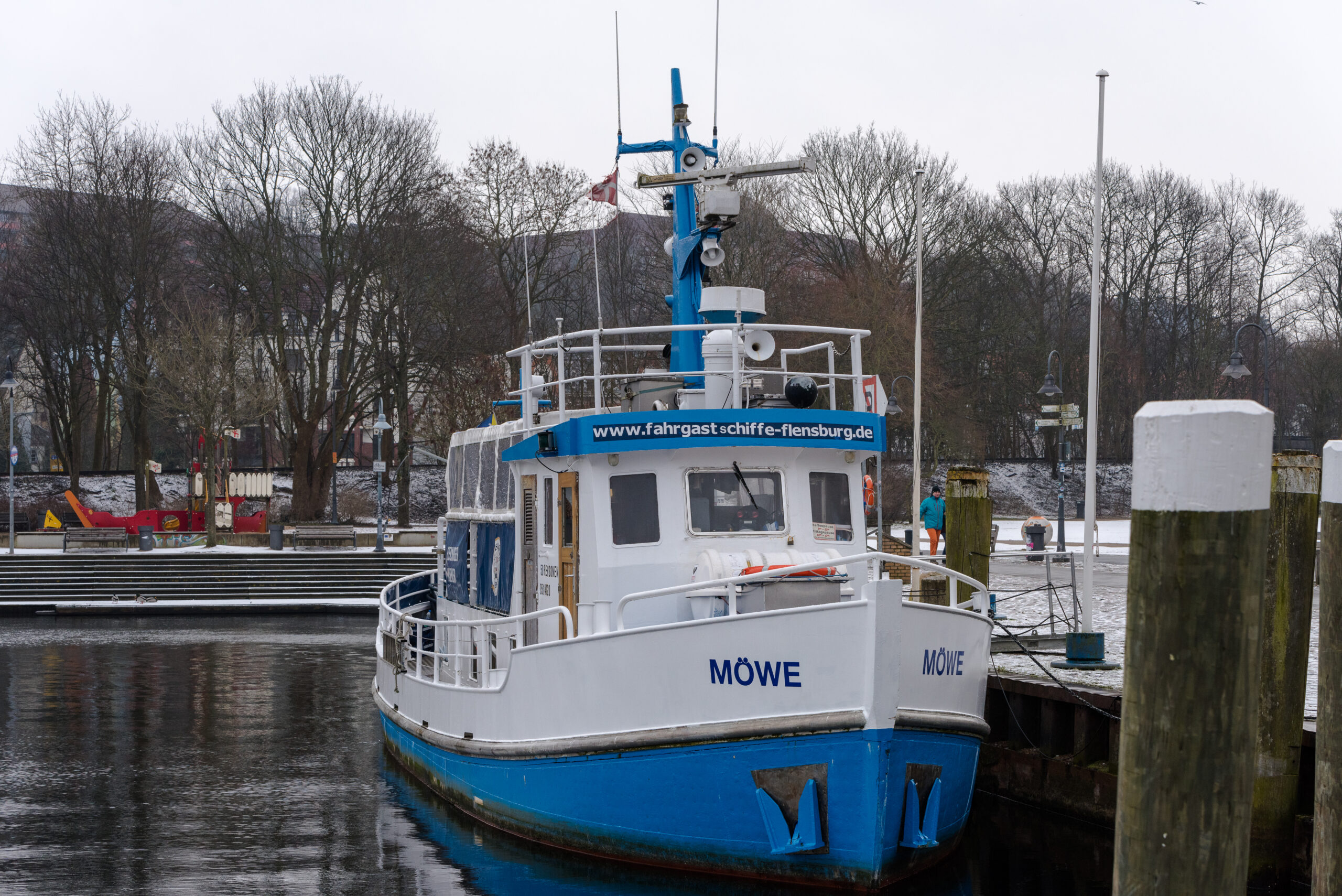 Möwe i Flensburg d. 15. februar 2018. Foto: Nicolaj D. Jepsen