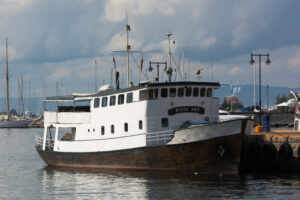 Hvite Ørn i Oslo d. 20. august 2016. Foto: Nicolaj D. Jepsen