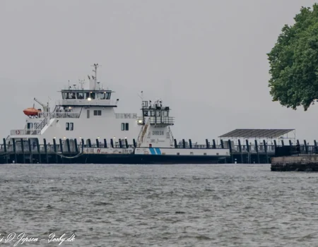 Mark G. Goode oplagt på Governors Island d. 14. juni 2025. Foto: Nicolaj D. Jepsen
