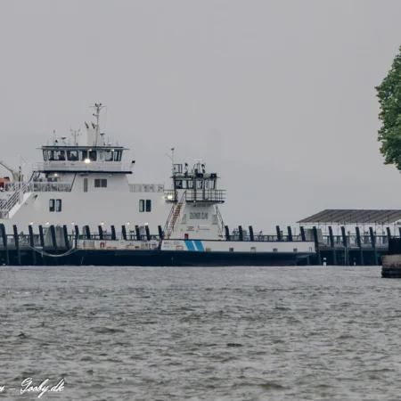 Mark G. Goode oplagt på Governors Island d. 14. juni 2025. Foto: Nicolaj D. Jepsen