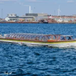 Nattergalen i Københavns Havn d. 11. april, 2026. Foto: Nicolaj D. Jepsen