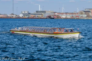 Nattergalen i Københavns Havn d. 11. april, 2026. Foto: Nicolaj D. Jepsen