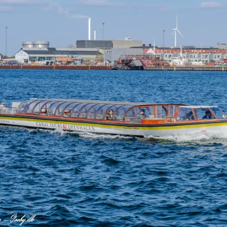Nattergalen i Københavns Havn d. 11. april, 2026. Foto: Nicolaj D. Jepsen